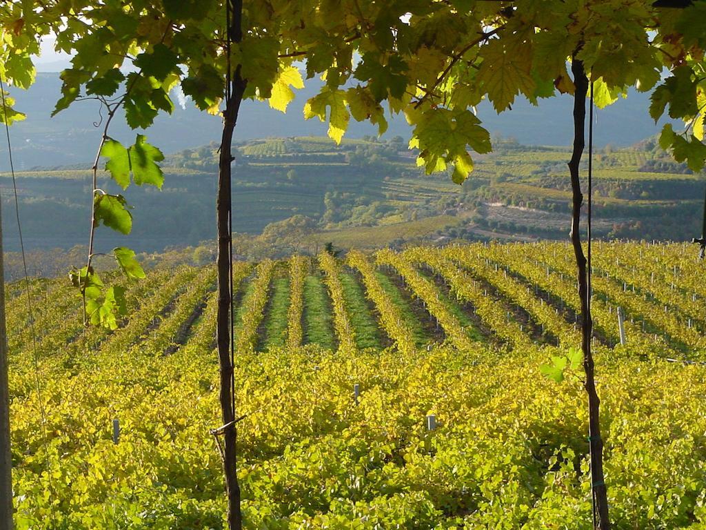 Passirano B&B Camignone Franciacorta מראה חיצוני תמונה