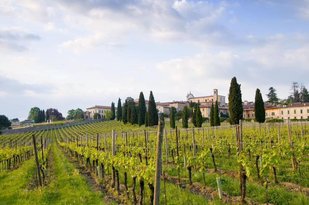 Passirano B&B Camignone Franciacorta מראה חיצוני תמונה